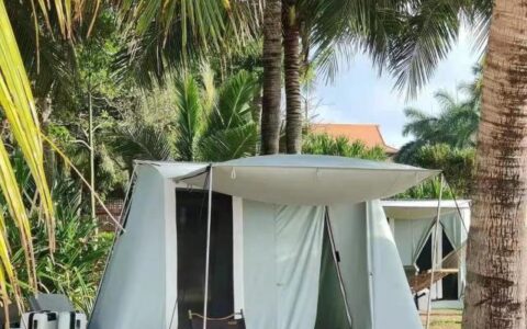 许阳：小红书“创造”旅游景点｜子弹财经