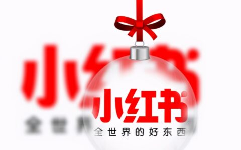 子雨：小红书，走向搜索｜新摘商业评论