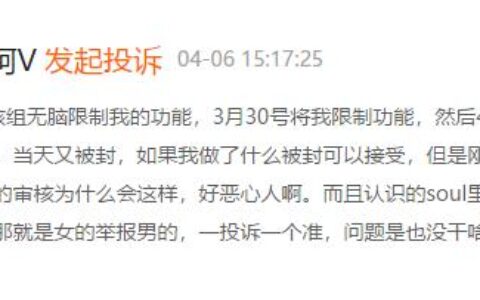 李东耳：Soul赴美上市，用户增长靠广告堆，伪造证据打压对手的企业