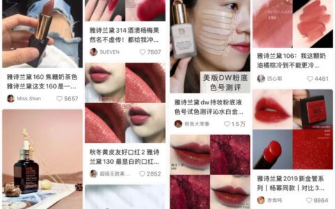 吴子瑞：小红书的“黑产笔记”，8元可养50个账号