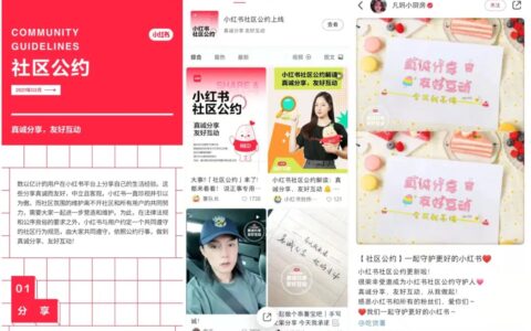 透视小红书：没有围墙的社区｜懂懂笔记