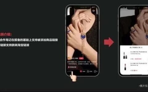 于松叶：小红书转型，进退维谷