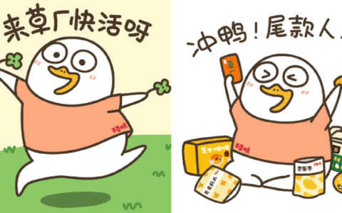 齐卿：流量红利的“虚”与“实”，企业数字营销该如何做