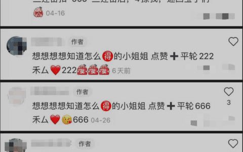 孙哲：小红书如何引流购物粉和宝妈粉｜野路子实验室