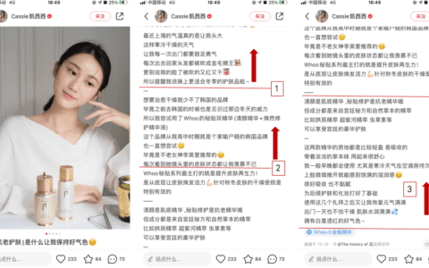 小红书企业号运营：老板为何觉得我能力不行｜庄俊