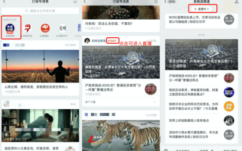 微信开放3个超级引流技：公众号+视频号+小程序+企业微信串联｜见实