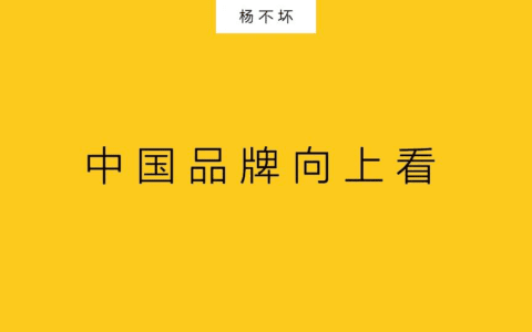 杨不坏：中国品牌向上看