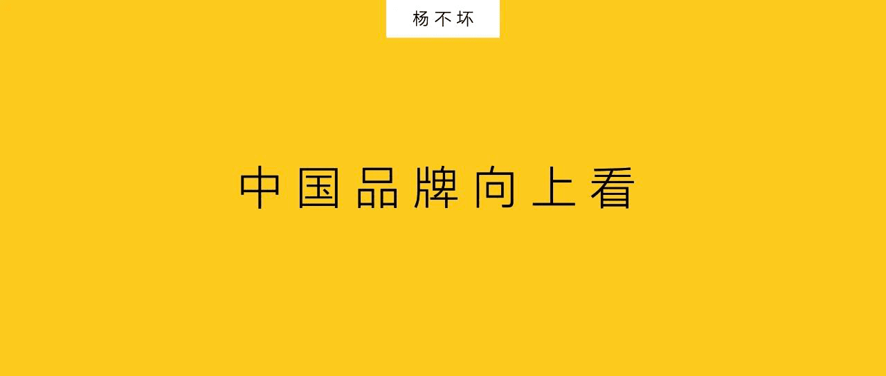 杨不坏：中国品牌向上看