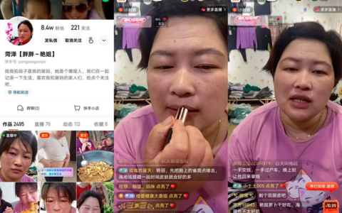快手的得与失