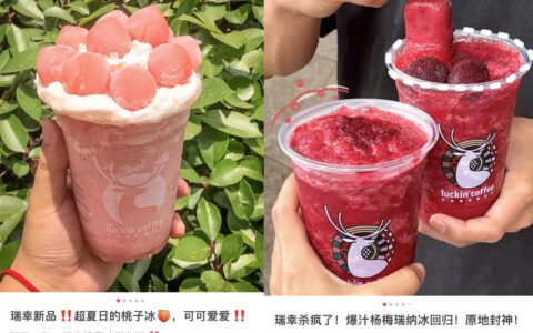 1篇笔记竟让品牌起死回生，小红书究竟能有什么种草能力？