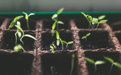 麦肯锡工作总结：共识和穷尽｜营销捕手