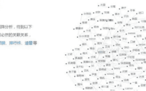 0基础如何运营小红书，吸金指南助你掌握生财之道