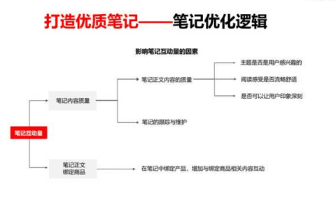 常见小红书运营问题解答！0基础小白运营攻略解析
