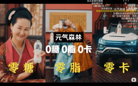 从0到1，新品牌如何在B站冷启动｜飞瓜数据