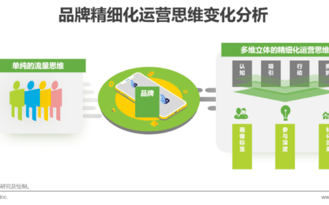 2021年中国品牌用户增长白皮书｜艾瑞咨询