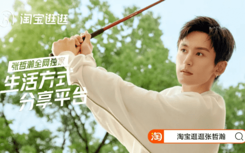 张伟：淘宝逛逛的明星营销学｜三声