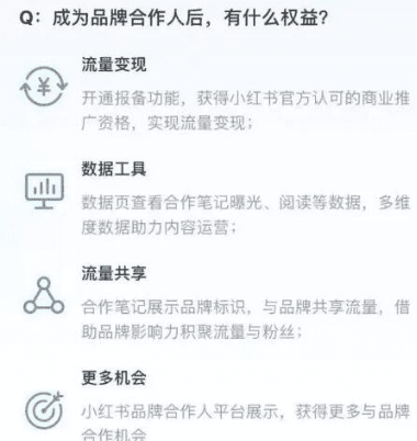 0基础如何运营小红书，吸金指南助你掌握生财之道