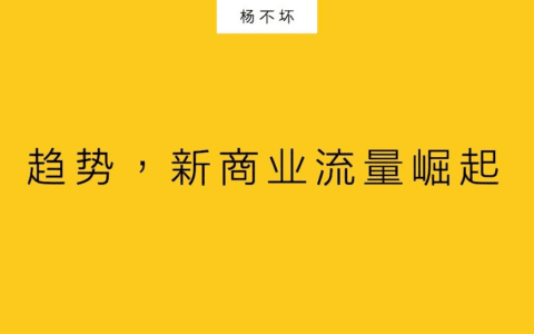 杨不坏:趋势,新商业流量崛起