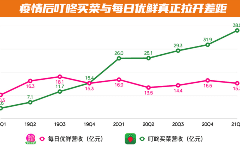 潘乱：叮咚买菜，笨鸟多飞｜乱翻书