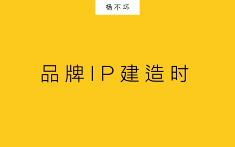 杨不坏：品牌IP建造时
