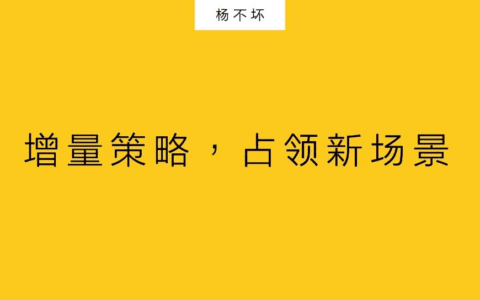 杨不坏：增量策略，占领新场景
