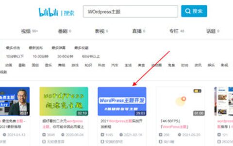 安渊：b站视频SEO如何做？实战举例