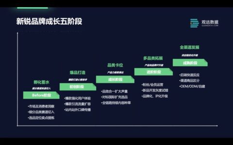 从产品、渠道、营销说起：新锐品牌数字化增长方法论｜观远数据