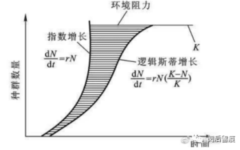思维模式：指数增长