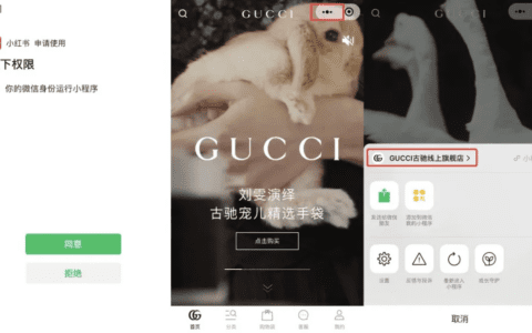 张娆：面对小红书，微信在犹豫｜新商业情报NBT