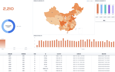 新锐品牌增长之路:电商大促复盘五章经