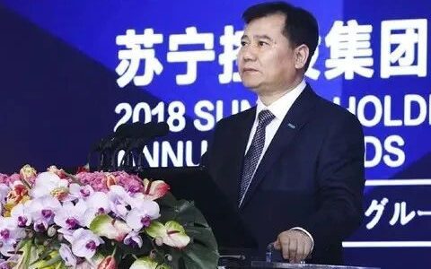 孙宇：黄光裕失去的十年，张近东如何赔进去苏宁易购｜深网