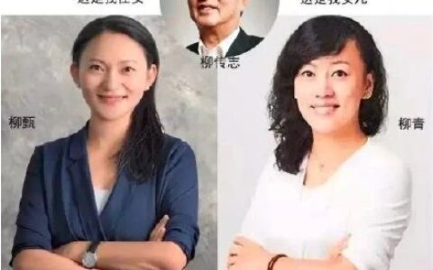 白罗：滴滴野蛮上市背后，藏着柳传志家族的野心｜商业风云榜