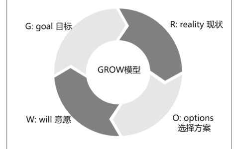 职场上，如何使用GROW模型高效成长｜猎头老王