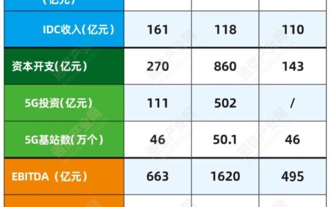 赵妍：进击新增长曲线，透视三大运营商半年报背后