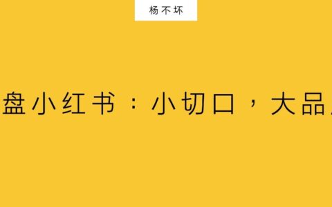 杨不坏：复盘小红书——小切口，大品牌