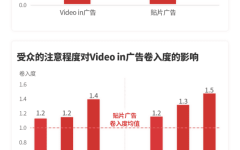 叶慧：video in广告，品牌增长新路径