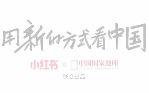 小红书：新一点、潮一点，然后再野一小点｜文案君