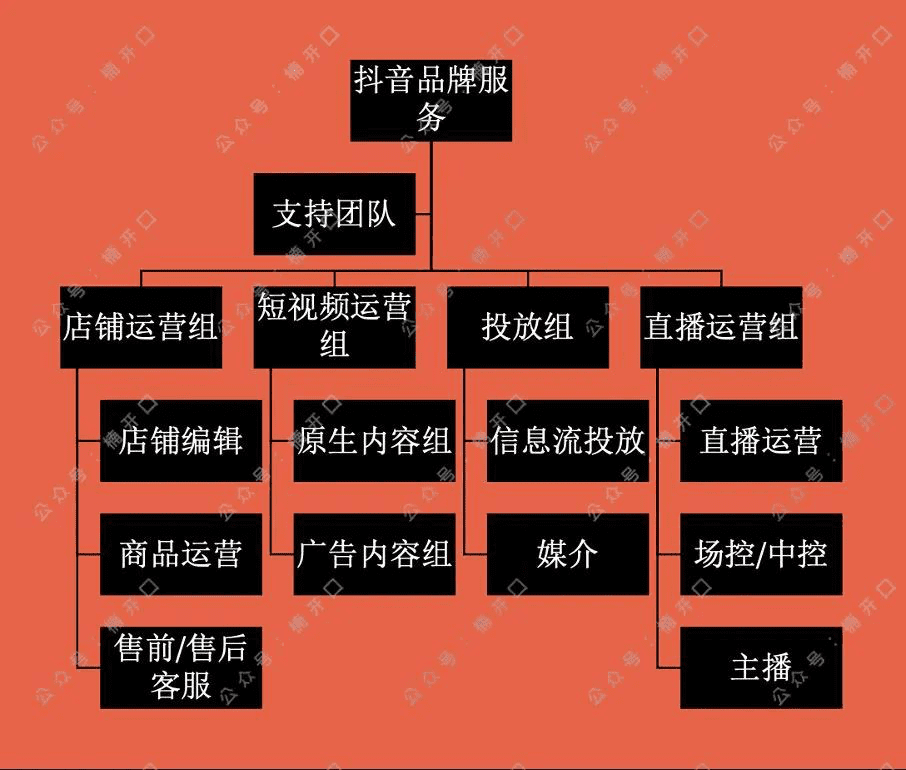 品牌医生@thezs：通过抖音加速品牌发展的策略｜楠开口