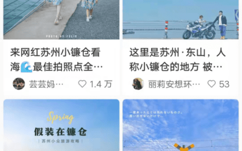 秋刀：种的草还是挖的坑？流量焦虑下的小红书未来几何