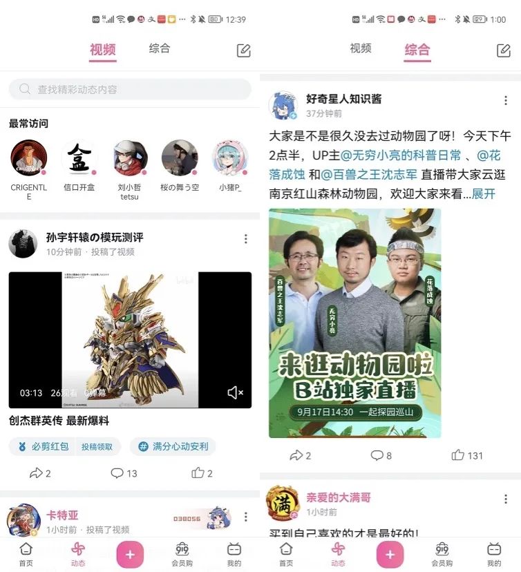 50条看懂B站营销｜刀法研究所