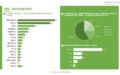 红杉首发企业数字化指南，8大核心洞察解决CIO群体痛点