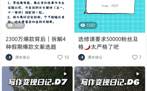 运营团队搭建手记：花钱雇人写稿运营的体验｜渭水徐公