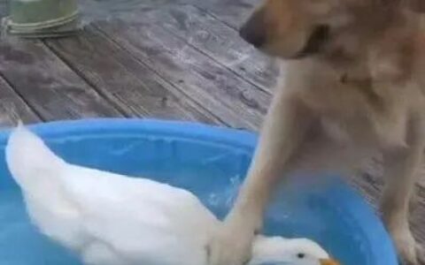 没想到吧！我们公关人的敌人竟来自我们内部