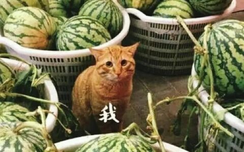 来盘一盘公众人物危机公关的正确打开方式