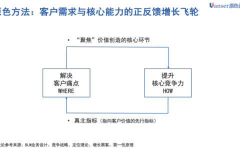 原色咨询丁伟强：增长飞轮的设计方法