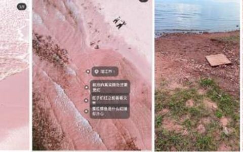 吴娇颖：小红书种草，大众点评拔草丨开菠萝财经