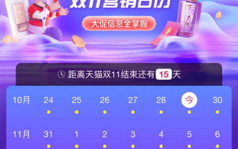 双十一期间小红书投放：提高品牌整体转化率