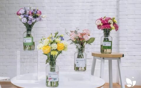 鸟笼效应，品牌的大杀器