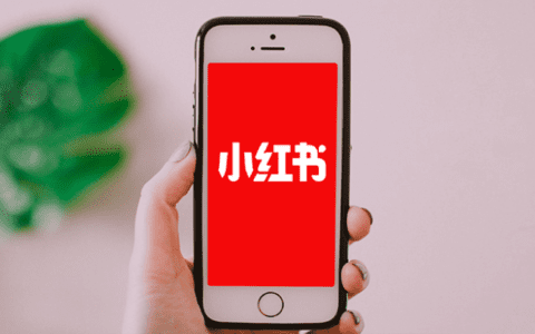 困在双11“流量仓”的小红书，能否撑起200亿美元估值?