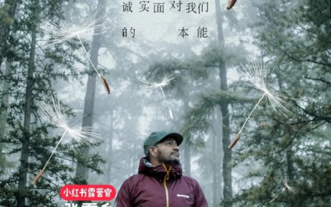 小红书，在用文案打败文案